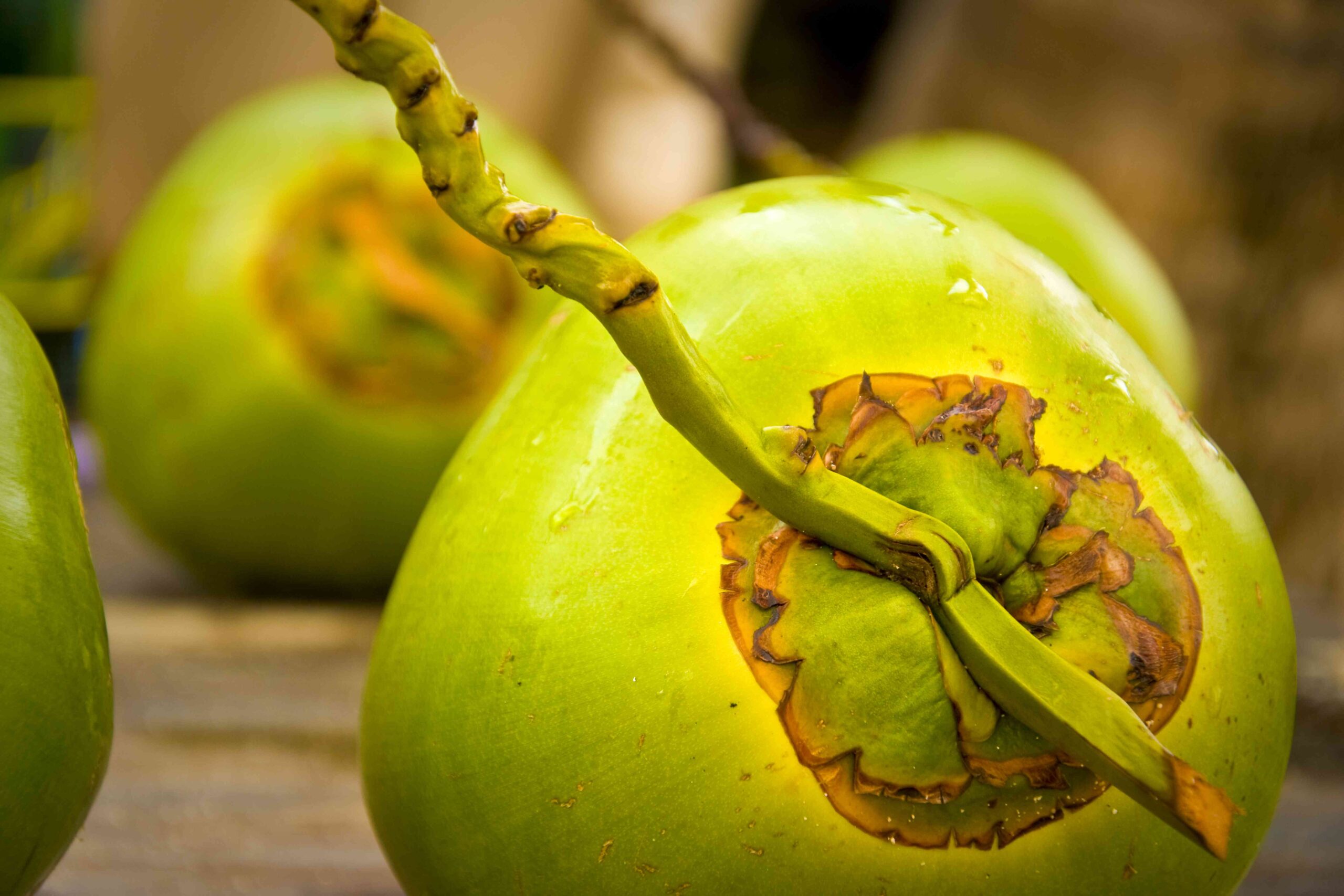 coconuts